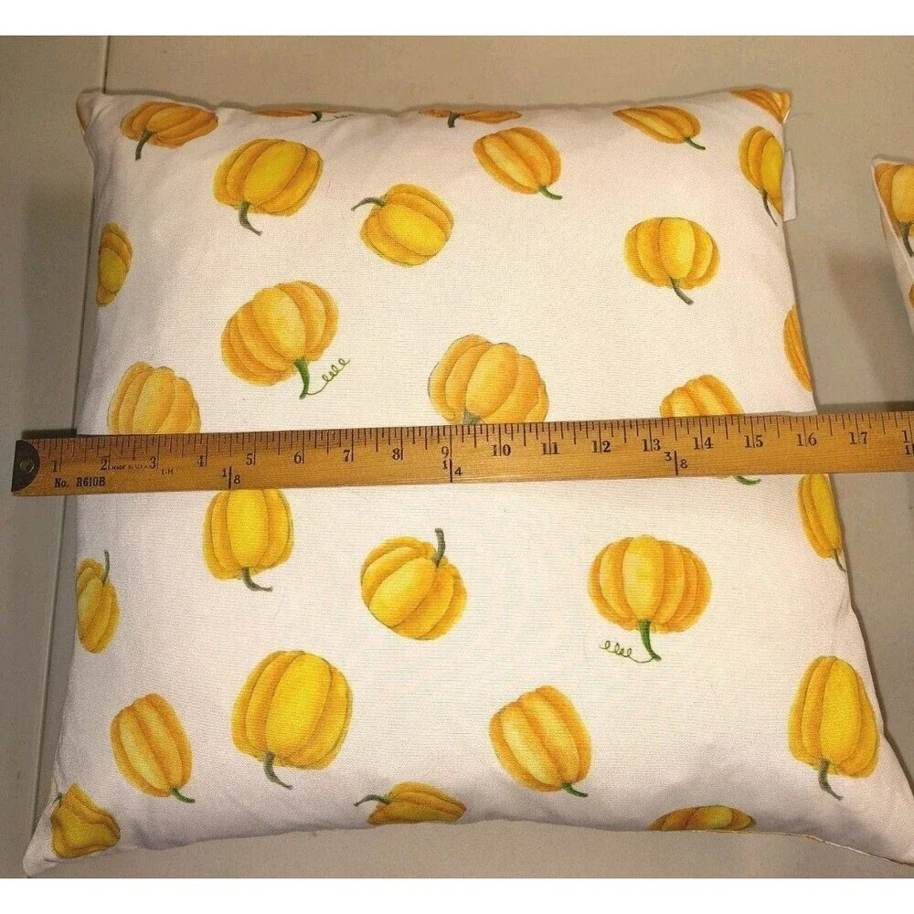 Rae Dunn Autumn Pumpkin Accent Pillows Feather Down Insert Removable Covers